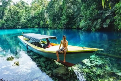 Pemandangan Danau Labuan Cermin dengan airnya yang sangat jernih dan memantulkan pepohonan. Wisata alam, Berau, Kalimantan Timur